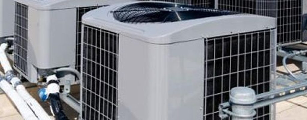 WhatsApp Image 2025-04-16 at 16.05.04